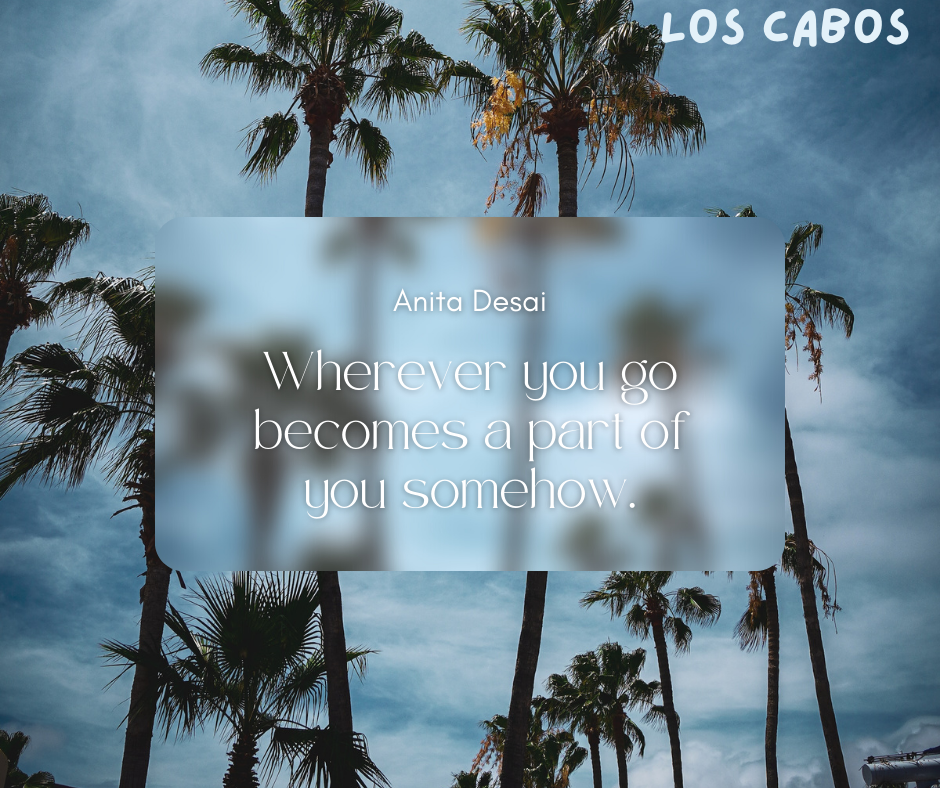 Anita Desai Quote